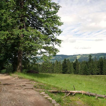 Domek Sekret Zakopane Exterior photo